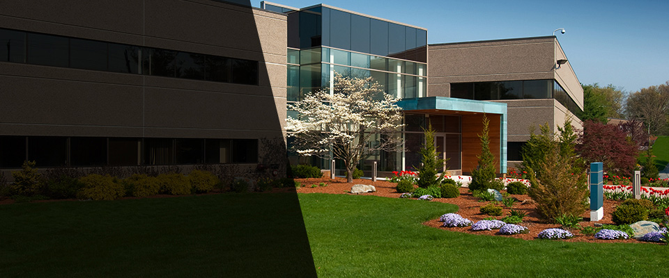 Charleston Landscapers