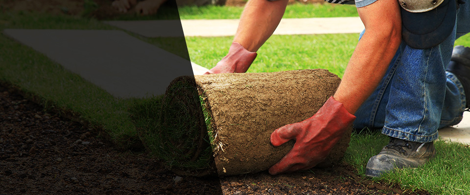 Charleston Landscapers